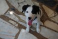 /album/os-nossos-clientes1/dsc-0321-jpg/