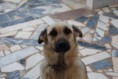 /album/os-nossos-clientes1/dsc-3492-jpg/